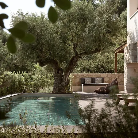 Zayn Luxury Villas, A Serene Escape, By Thinkvilla *