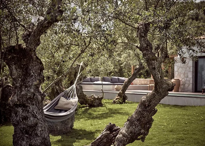 Zayn Luxury Villas, A Serene Escape, By Thinkvilla 别墅