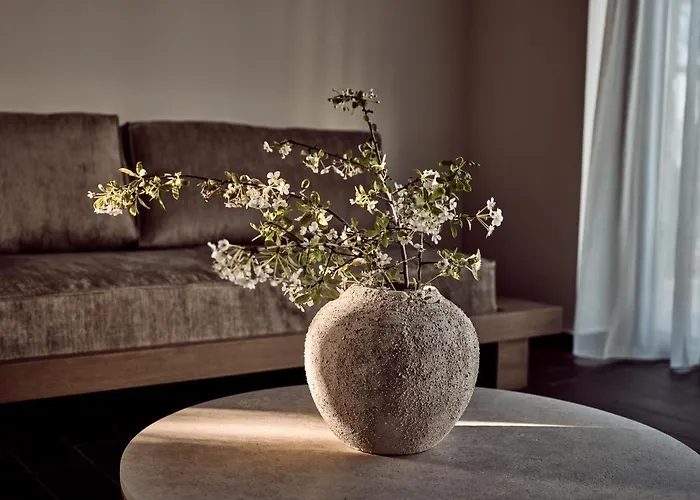 Zayn Luxury Villas, A Serene Escape, By Thinkvilla 别墅 蒂锡利维