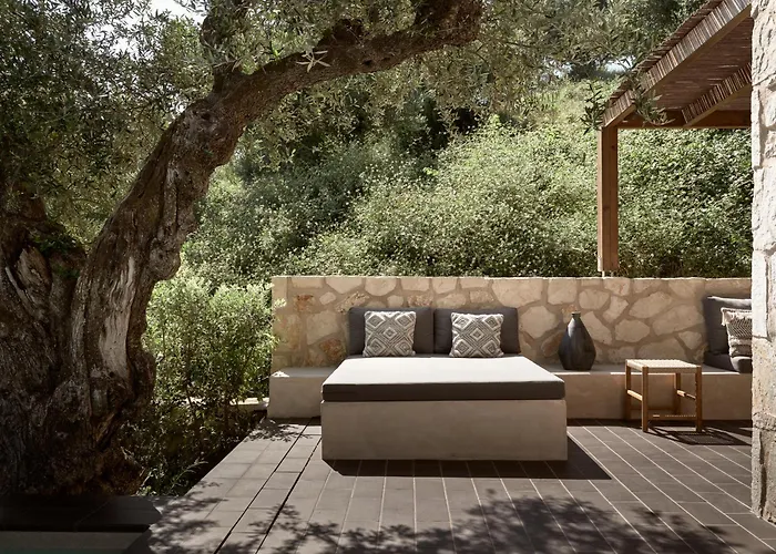 Zayn Luxury Villas, A Serene Escape, By Thinkvilla 别墅 蒂锡利维