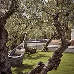Zayn Luxury Villas, A Serene Escape, By Thinkvilla Villa