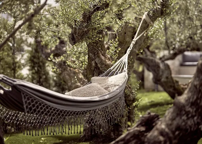 Zayn Luxury Villas, A Serene Escape, By Thinkvilla ヴィラ